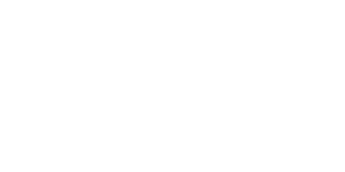 BSI Secondary logo White RGB_transparent background500x250