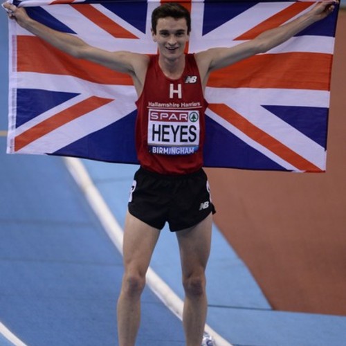 Andrew Hayes