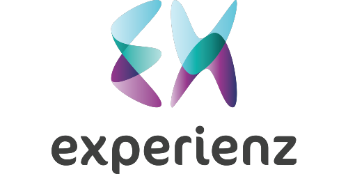 experienz-500x250